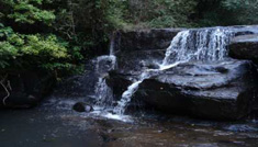 Coimbatore - Kodaikanal - Ooty - Mysore - Bangalore